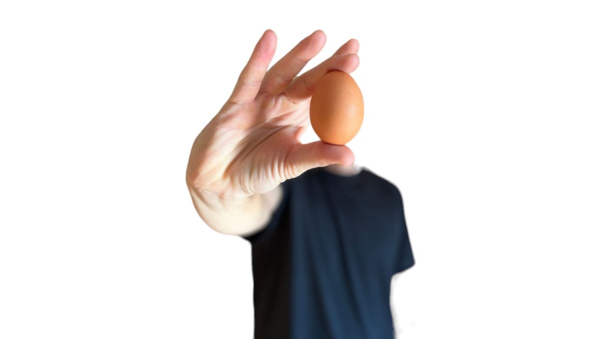 Huevo sostenido en la mano como símbolo de nutrición saludable para el ejercicio